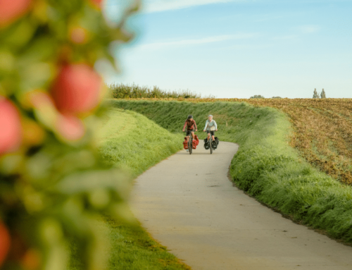 Viatge per Flandes amb bici, què n’has de saber?